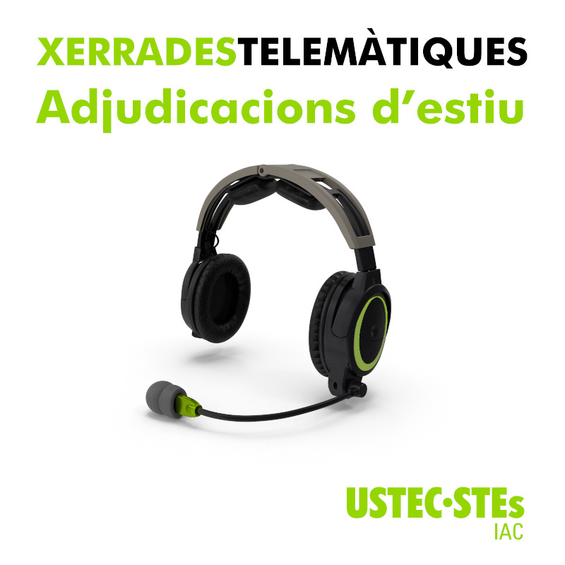 Xerrades telemàtiques adjudicacions d'estiu