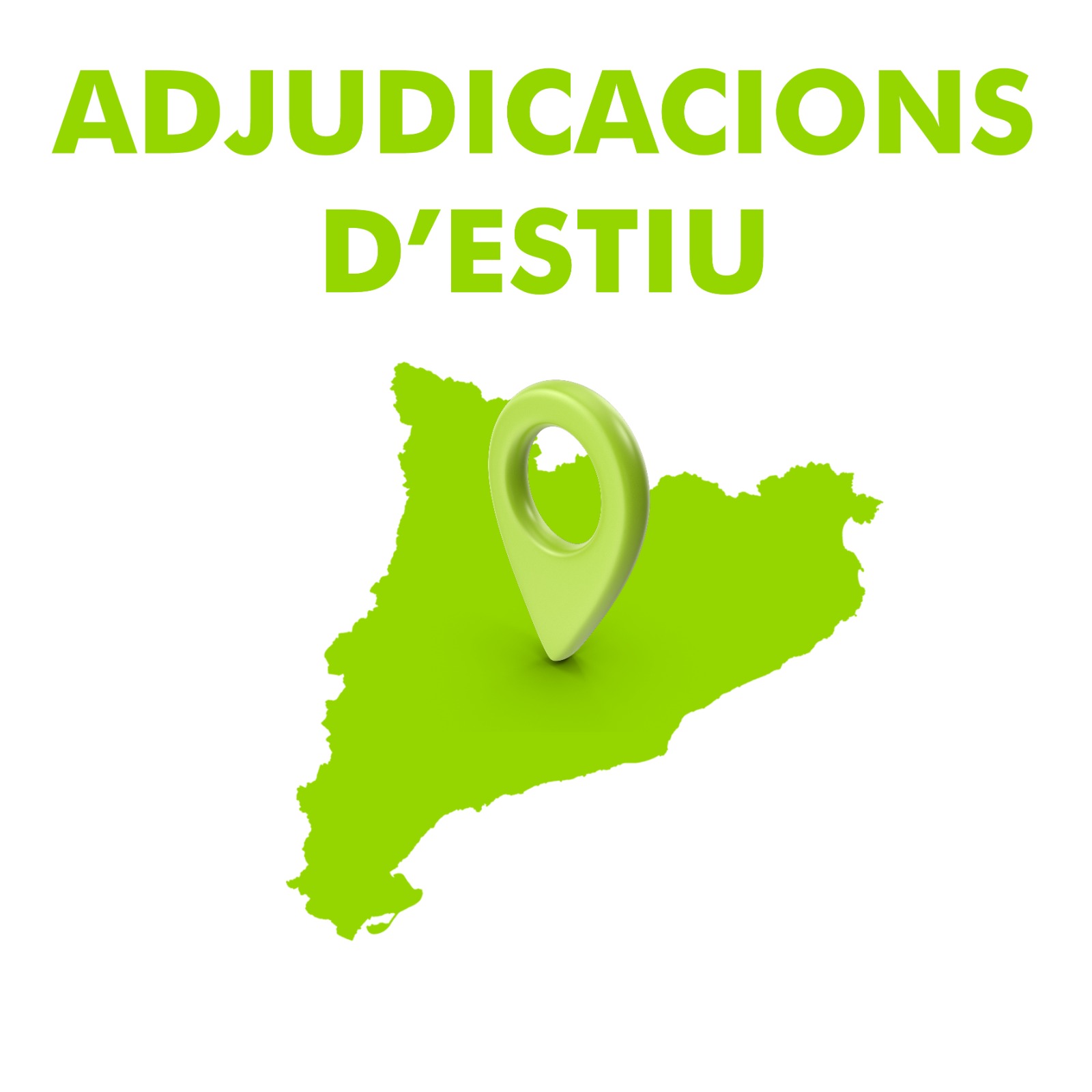 adjudicacions estiu text