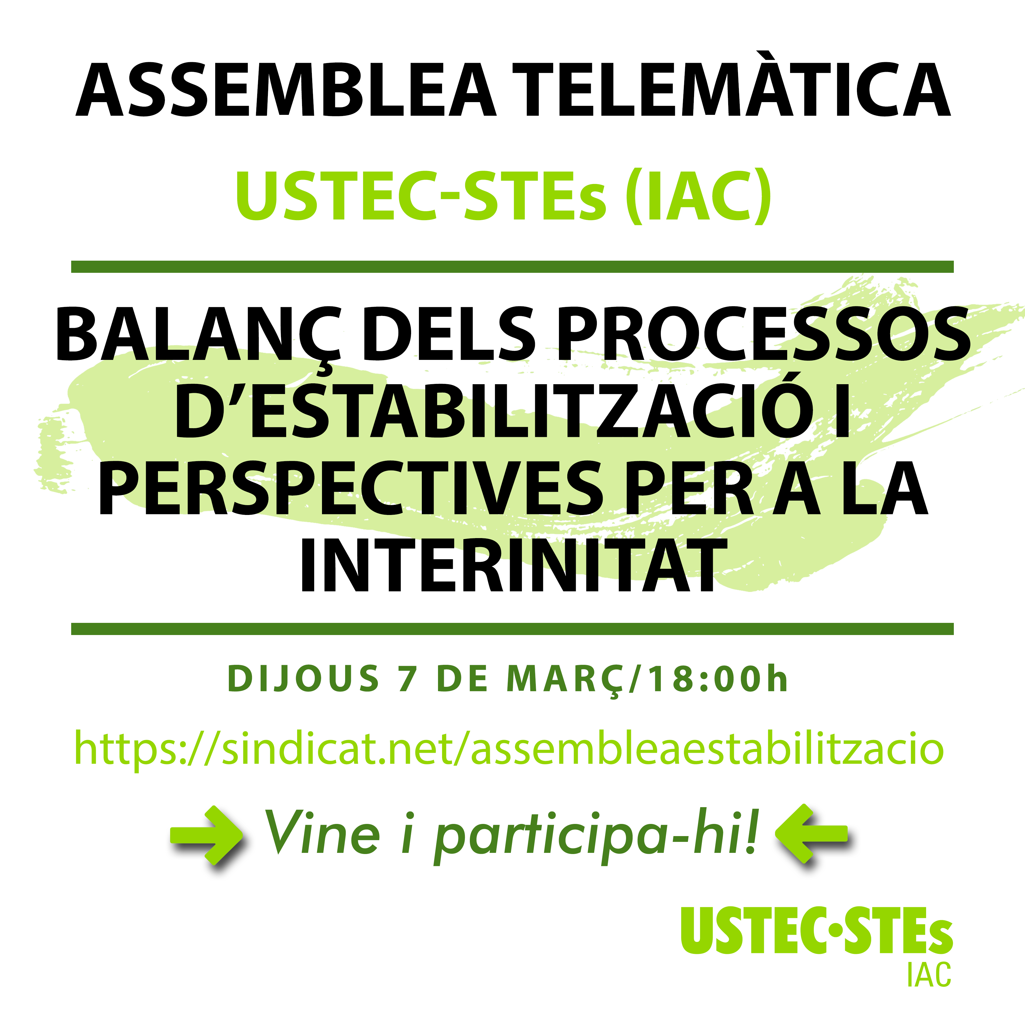 assembrea_estabilització_telematica_mark2