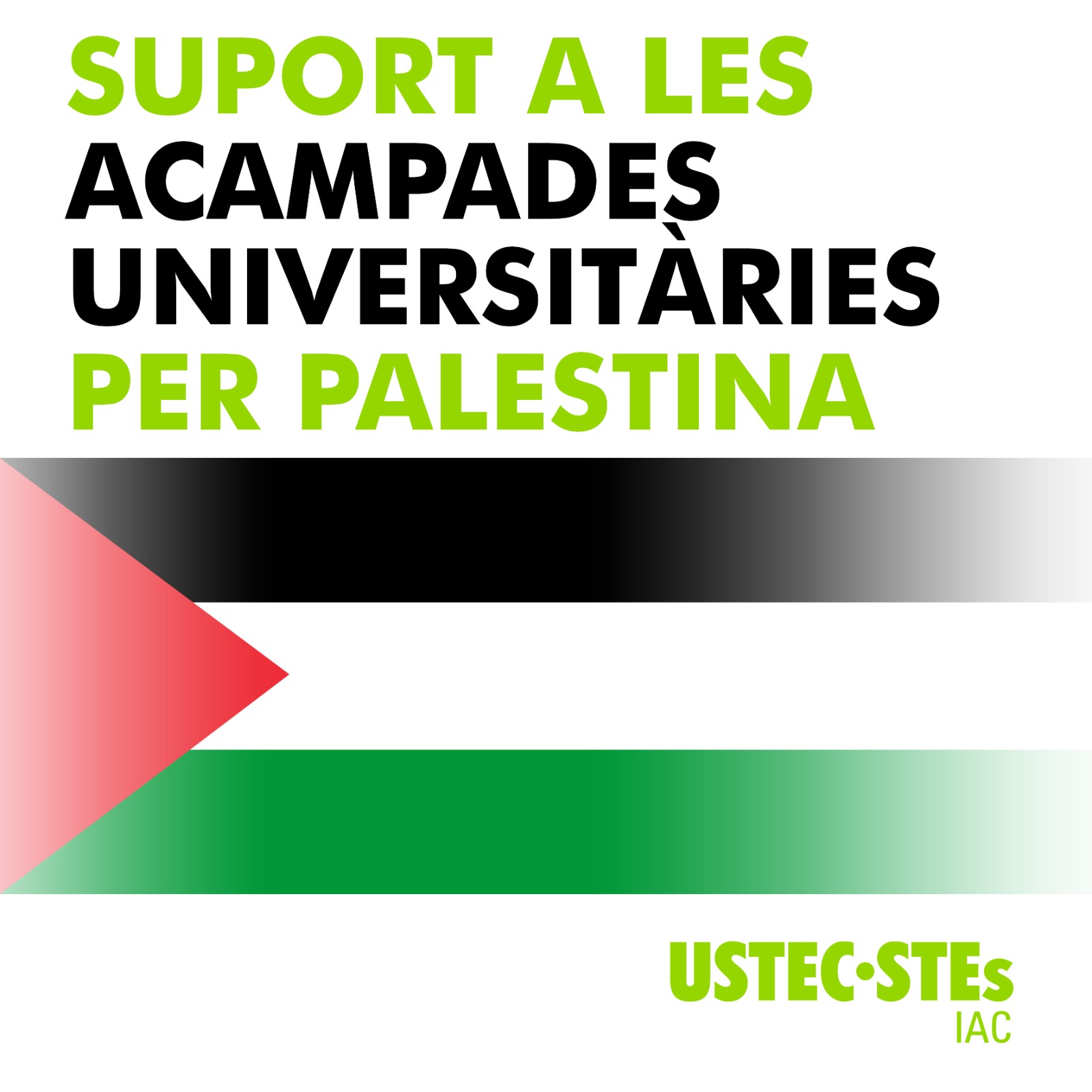 supor acampades per palestina