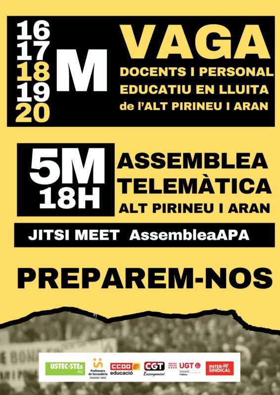 Assemblea Telemàtica 5M APA